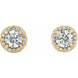 14K Yellow 5/8 CTW Natural Diamond Halo-Style Earrings